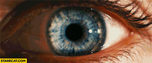Human eyes retinas animation