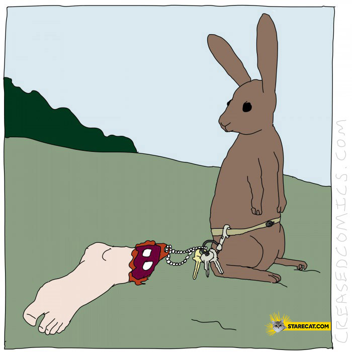 Human’s foot rabbit luck