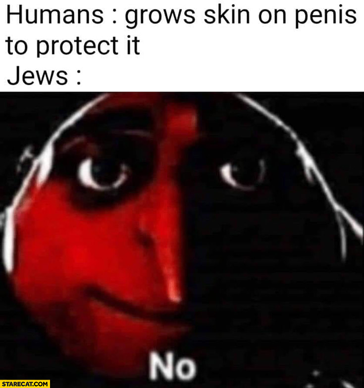 Humans grows skin on penis to protect it, Jews: no