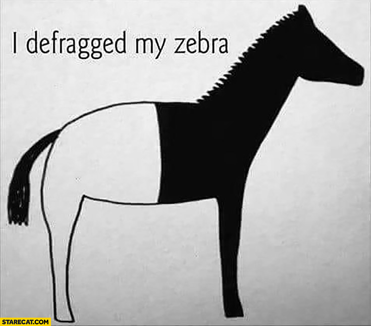 I defragged my zebra half white half black