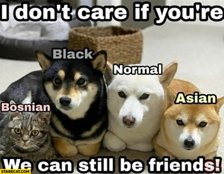 I don’t care if you’re bosnian, black, normal, asian we can still be friends cat dogs