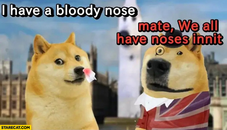 I have a bloody nose, British man: mate we all have noses, innit? Dog doge