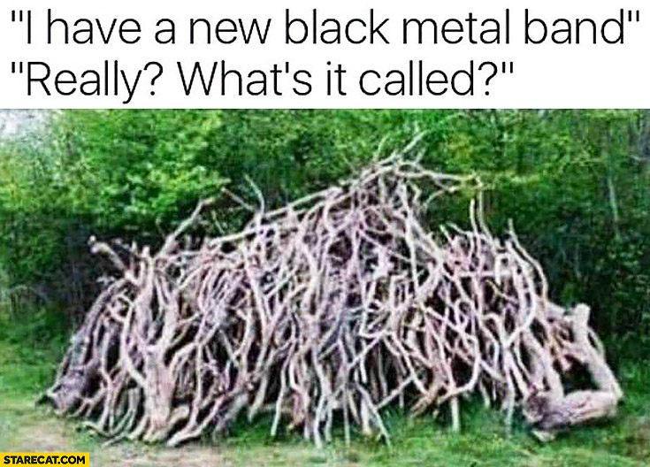 I have a new black metal band. Really? What’s it called? Tree branches impossible to read the name