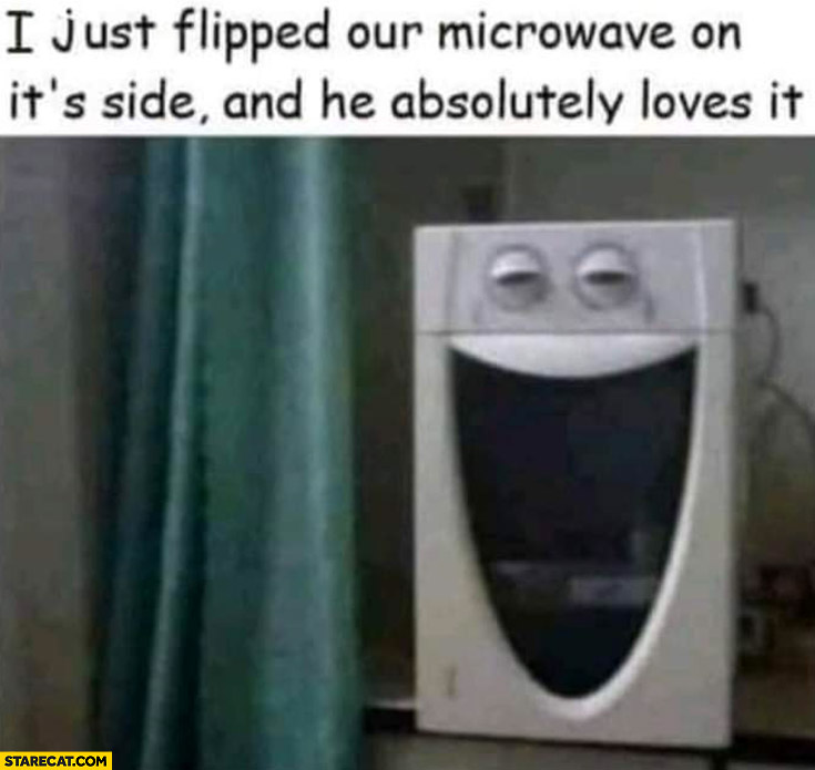 I just flipped our microwave on it’s side and he absolutely loves it silly face