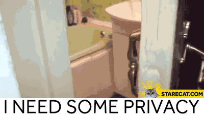 I need some privacy cat
