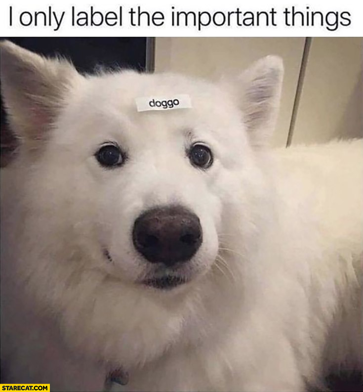 I only label the important things doggo dog