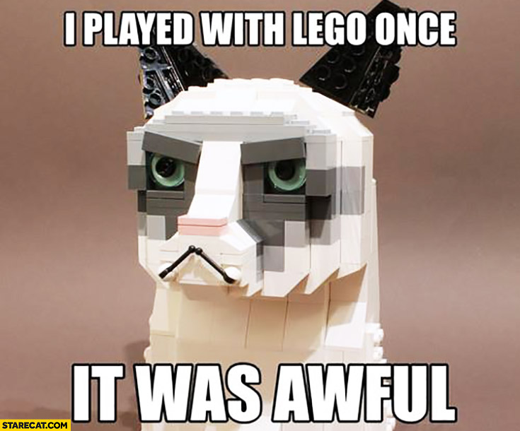 I played with LEGO once it was awful Grumpy Cat made of LEGO