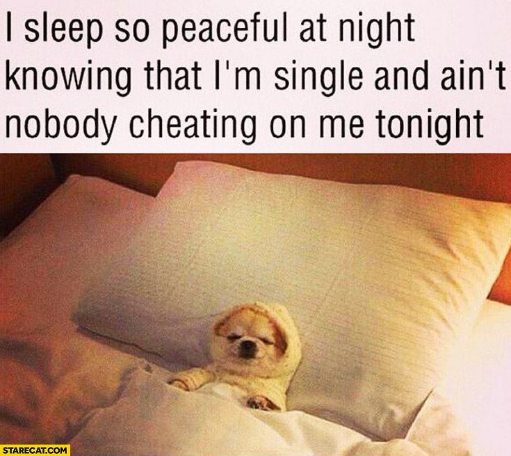 I sleep peaceful at night knowing that I’m single and ain’t nobody cheating on me tonight dog