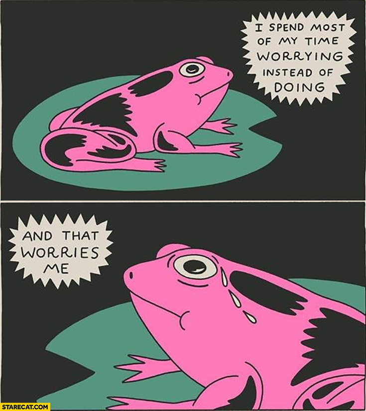 I spend most of my time worrying instead of doing and that worries me frog
