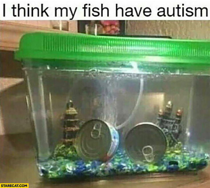 I think my fish have autism