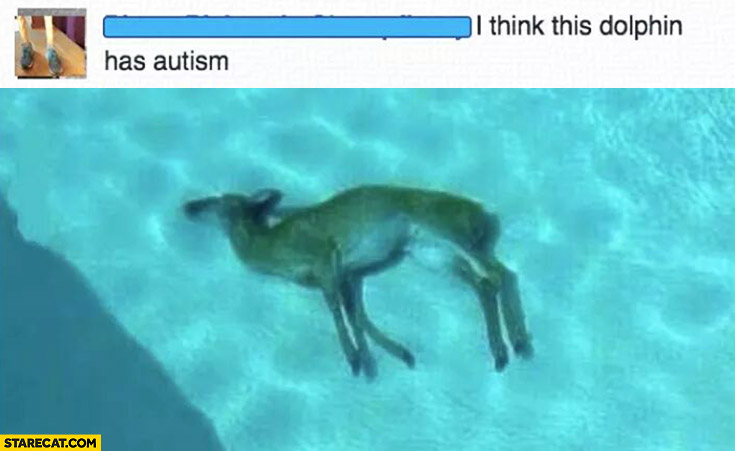I think this dolphin has autism deer in the water