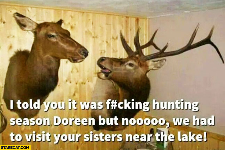 I told you it was hunting season but no we had to visit your sisters near the lake