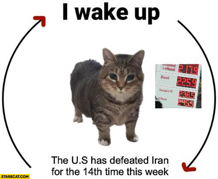 I wake up, the US has defeated Iran for the 14th time this week cat