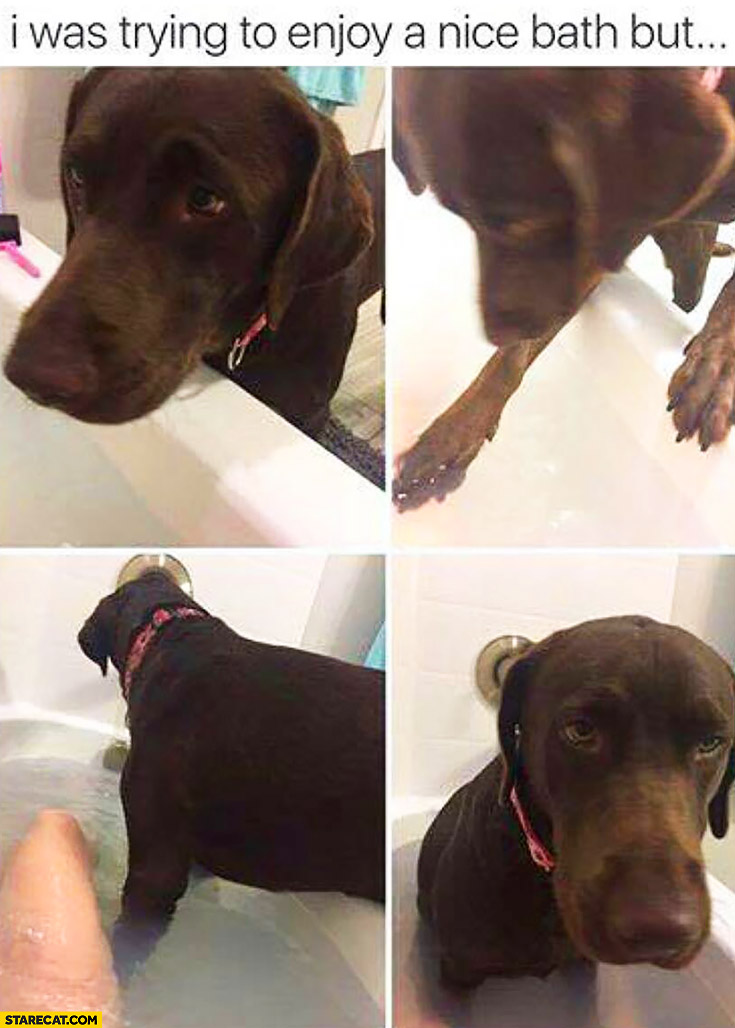 I was trying to enjoy a nice bath but my dog decided to join me