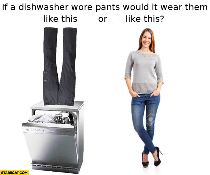 If a dishwasher wore pants would it wear them like this or this woman trolling