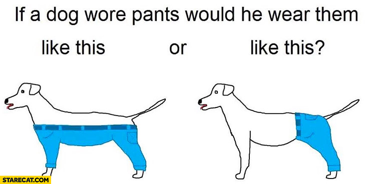 If a dog wore pants would he wear them like this or like this?