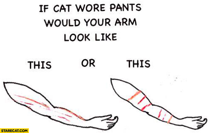 If cat wore pants would your arm look like this or this? Scratches