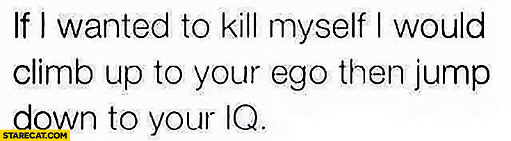 If I wanted to kill myself I would climb up to your ego, then jump down to your IQ