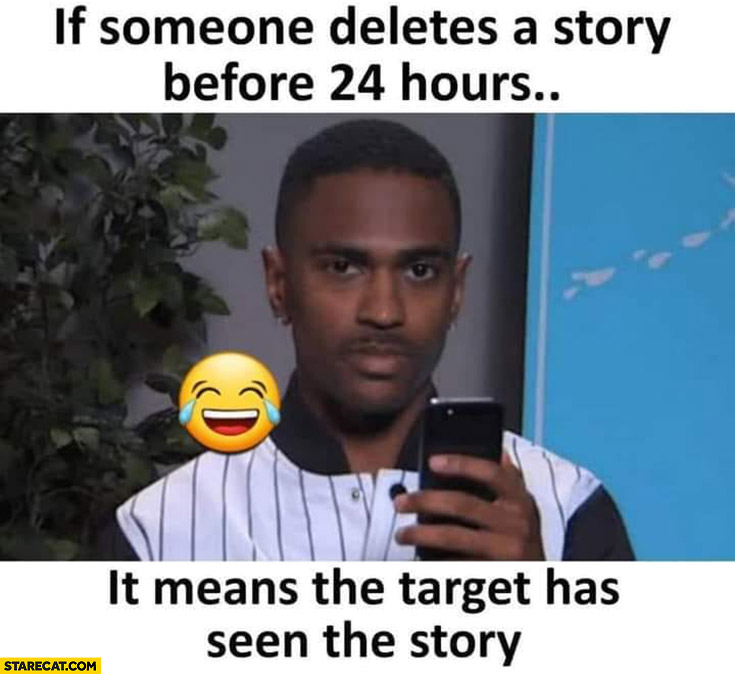If someone deletes a story before 24 hours it means the target has seen the story