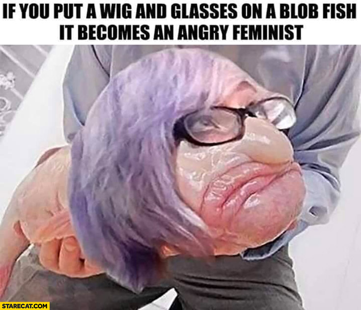 If you put a wig and glasses on a blog fish it becomes an angry feminist
