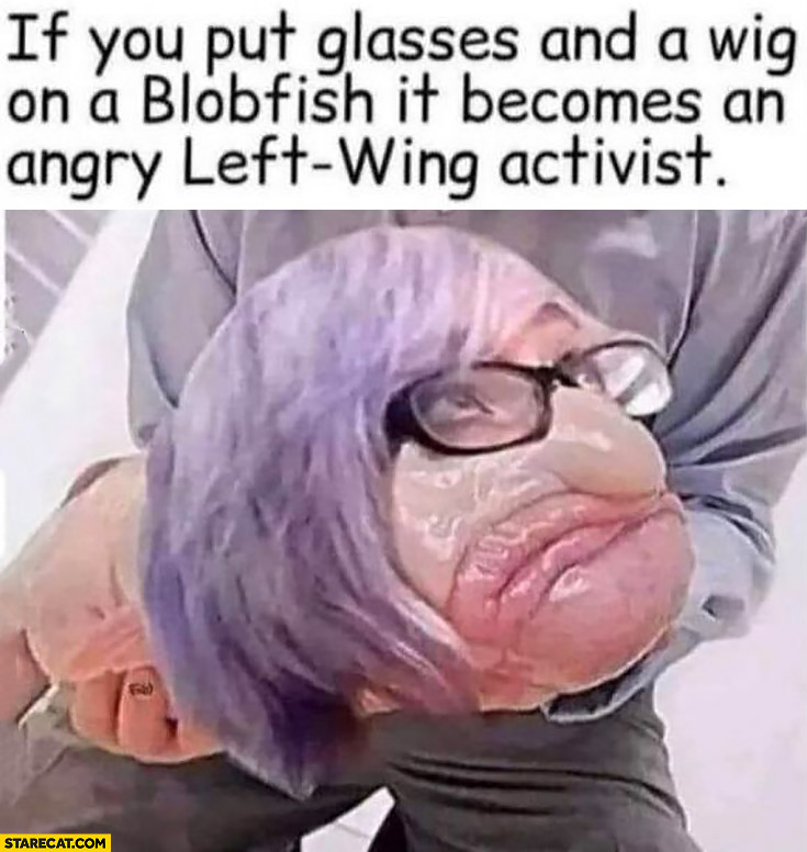 If you put glasses and a wig on a blobfish it becomes an angry left-wing activist