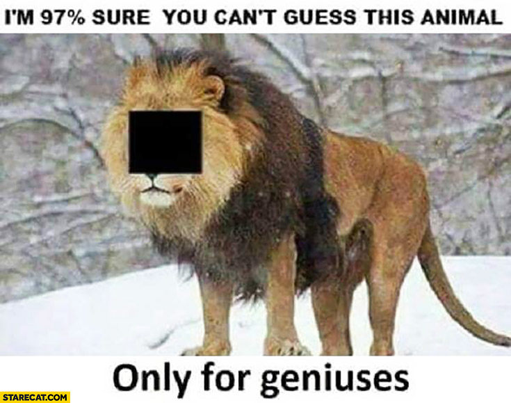 I’m 97% percent sure you can’t guess this animal, only for geniuses, lion
