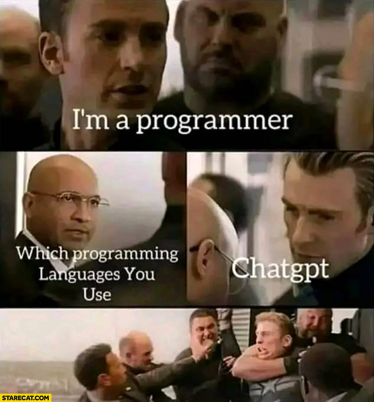 I’m a programmer, which programming languages you use? Chatgpt