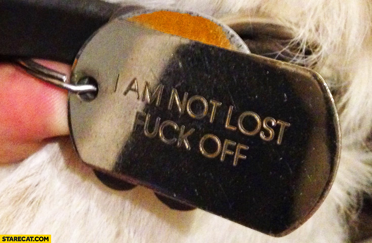I’m am not lost fck off. Dog ID tag