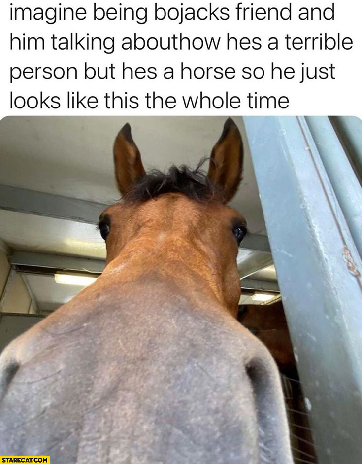 Imagine being bojacks friend and him talking about how he’s a terrible person but he’s a horse she just looks like this the whole time