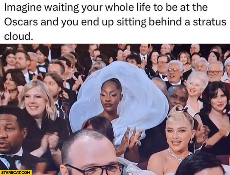 Imagine waiting your whole life to be at the Oscars and you end up sitting behind a stratus cloud