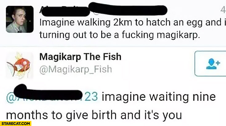 Imagine walking 2km to hatch an egg and it’s Magikarp. Imagine waiting nine months to give birth and it’s you Pokemon GO