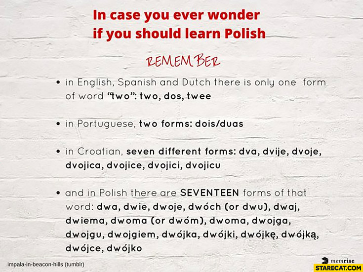 In case you ever wonder if you should learn Polish: there are seventeen forms of that word two