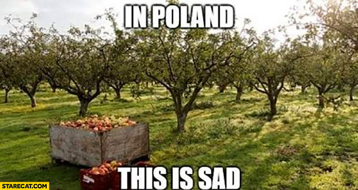 In Poland this is sad literally orchard