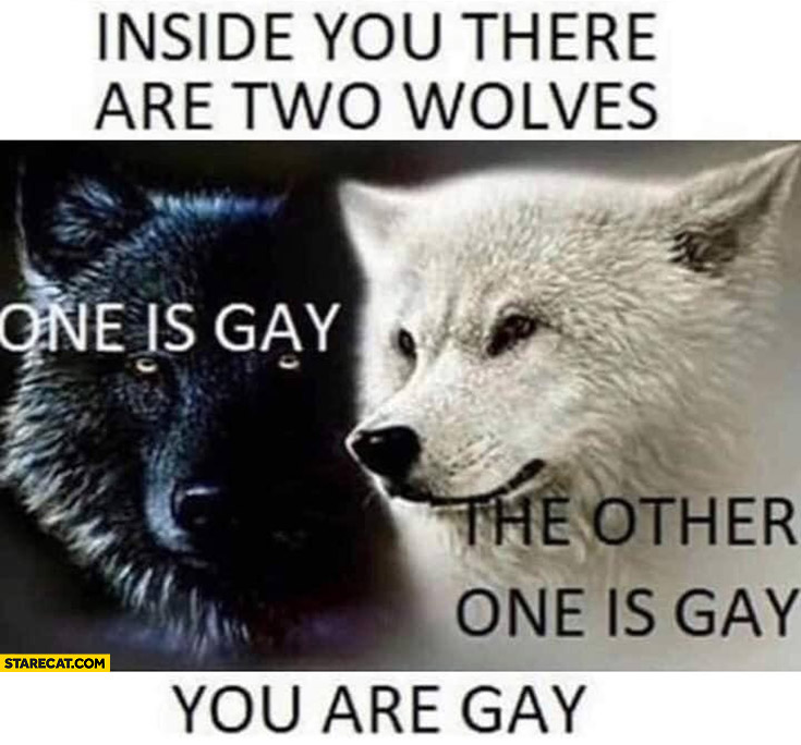 Inside you there are two wolves: one is gay, the other one is gay, you are gay
