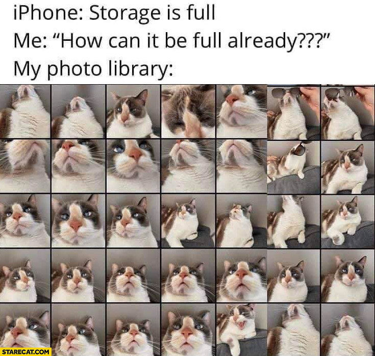 iPhone storage is full, me: how can it be full already? Photo library: full of cat pictures