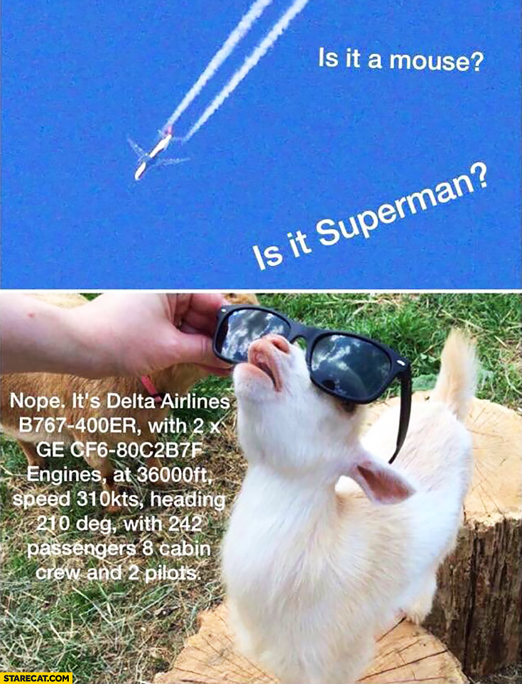 Is it a mouse? Is it a Spiderman? Nope it’s Delta Airlines. Goat with glasses looking at the sky