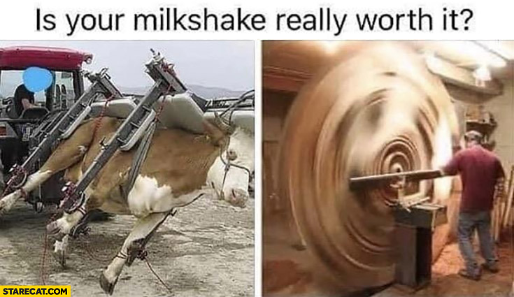 Is your milkshake really worth it? Cow in a giant mixer