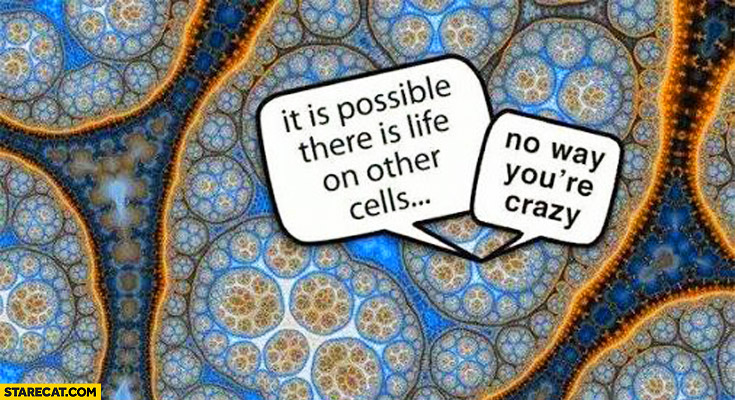 It is possible there is life on other cells no ways you’re crazy