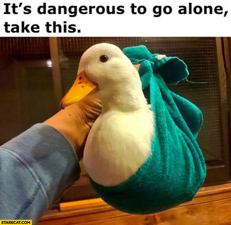 It’s dangerous to go alone take this duck