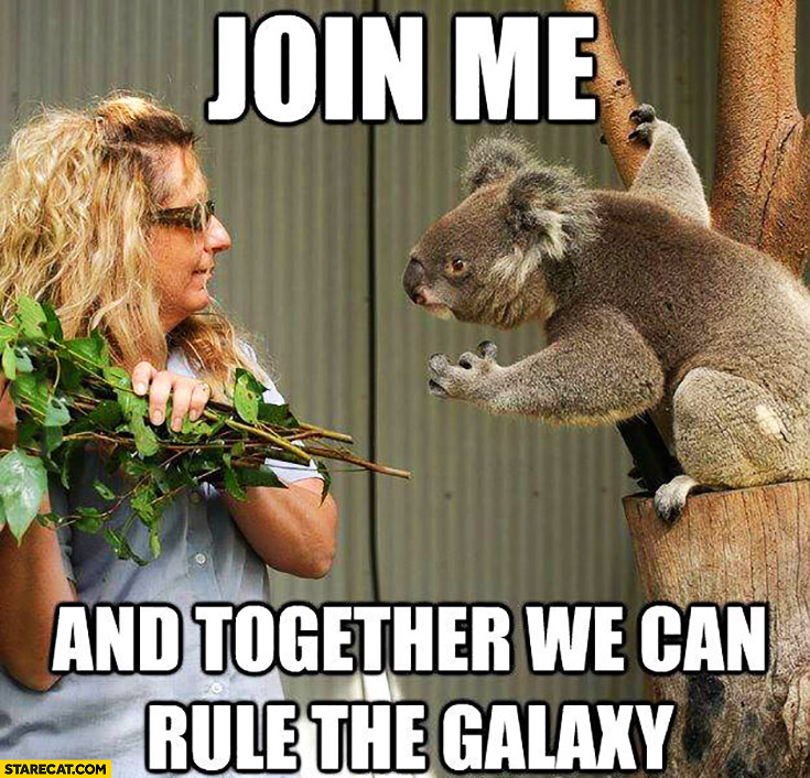 Join me and together we can rule the galaxy koala