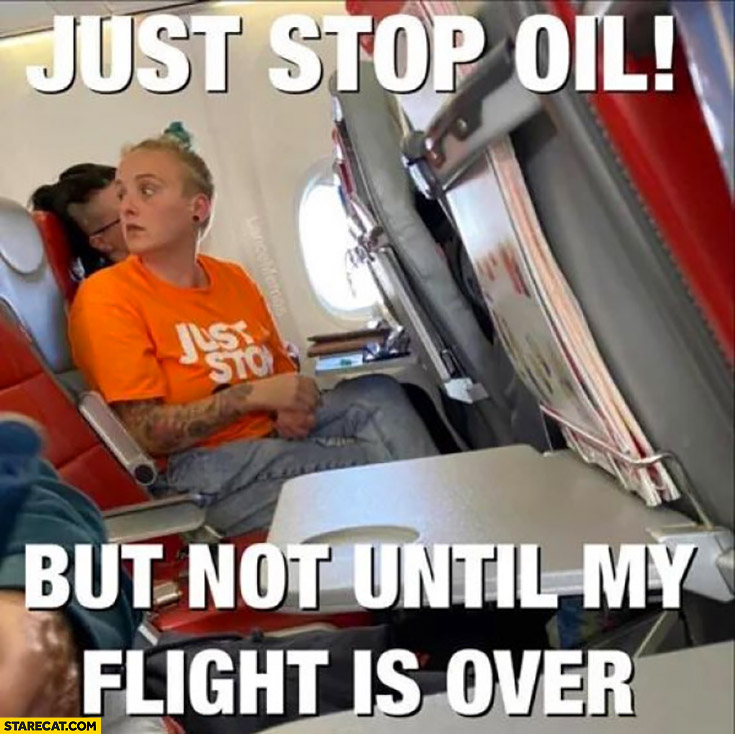 Just stop oil but not until my flight is over environmental activist in a plane