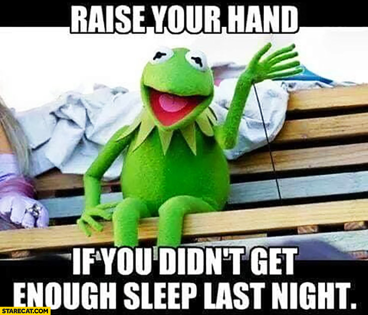 Kermit raise your hand if you didn’t get enough sleep last night