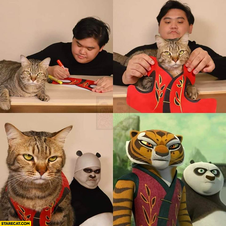 Kung-fu Panda low cost cosplay with cat