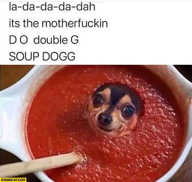 La da da dah it’s the motherfckin d o double g soup dogg dog in soup