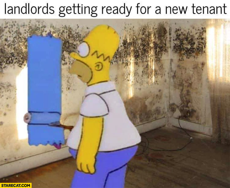 Landlords getting ready for a new tenant painting moldy walls Homer Simpson