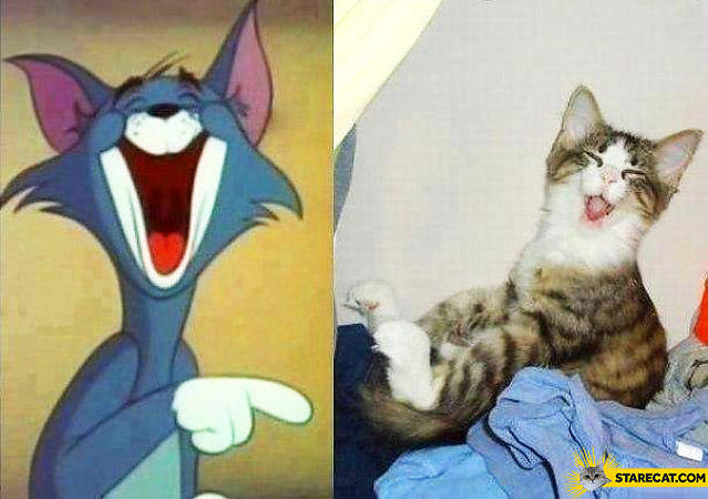 Laughing cats Tom&Jerry