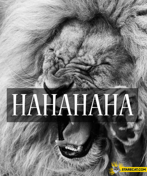 Laughing lion