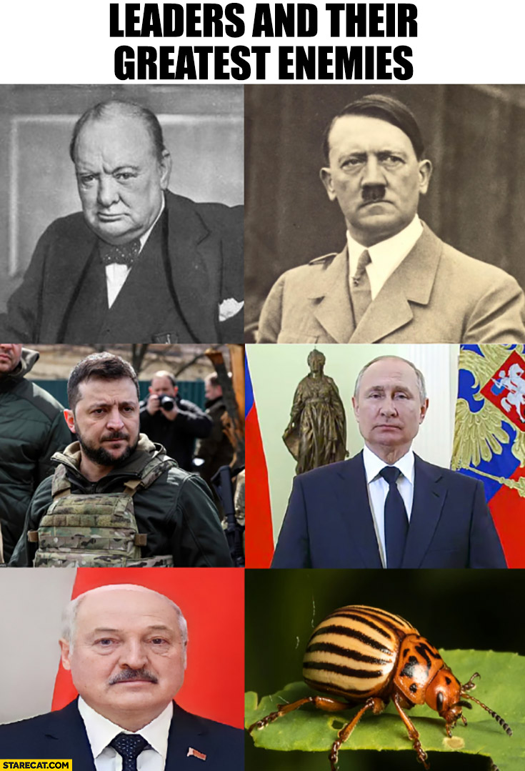 Leaders and their greatest enemies Churchill Hitler Zelensky Putin Lukashenko colorado potato beetle