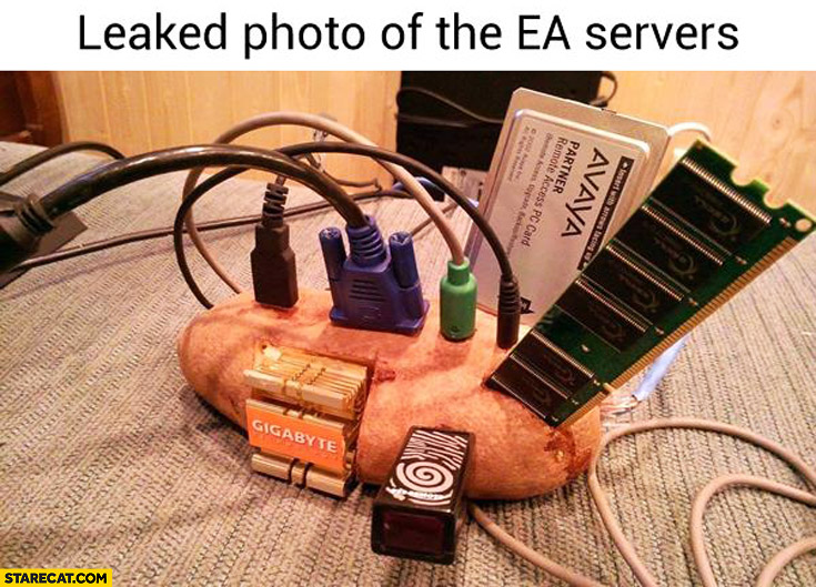 Leaked photo of the EA servers bread trolling