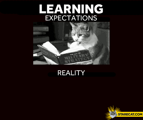 Learning expectations reality